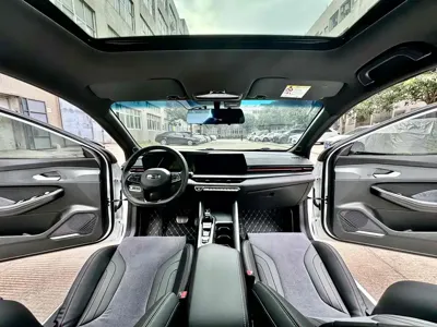 Geely Binrui