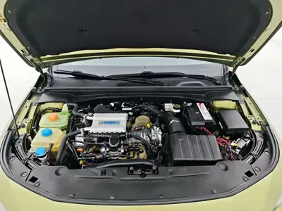 GAC Motor Shadow Leopard