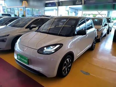 Wuling Bingo
