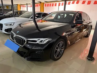 BMW 5 Series New Energy