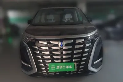 Denza D9