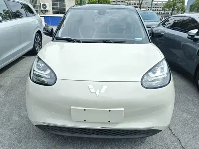 Wuling Bingo