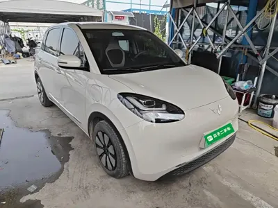 Wuling Bingo