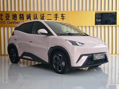 BYD Seagull