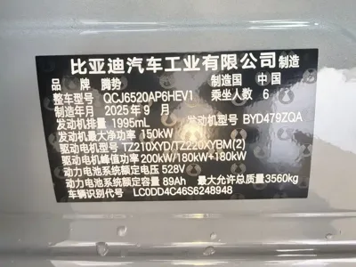 Denza 腾势N8L