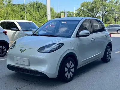 Wuling Bingo