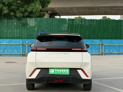 BYD Seagull