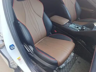 BYD PLUS