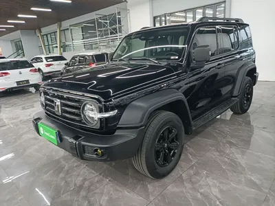 Tank 300