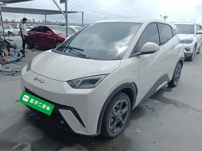 BYD Seagull