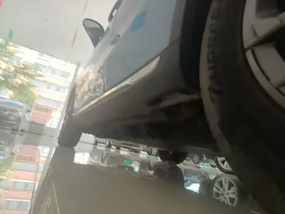 NETA Neta V