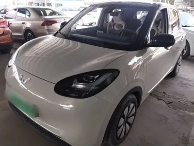 Wuling Bingo