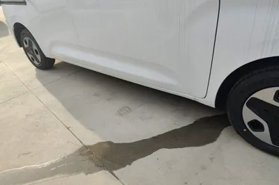 Wuling Zhiguang New Energy