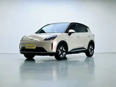 Wuling 缤果S