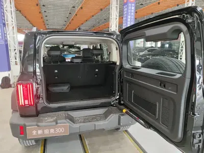 Tank Tank 300L New Energy