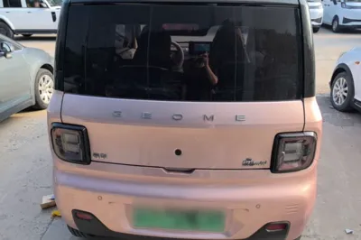 Geely Galaxy Panda