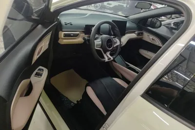 BYD Seagull