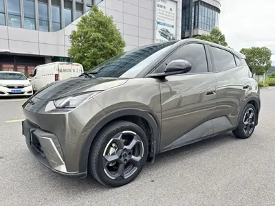 BYD Seagull