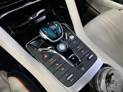 BYD PLUS New Energy