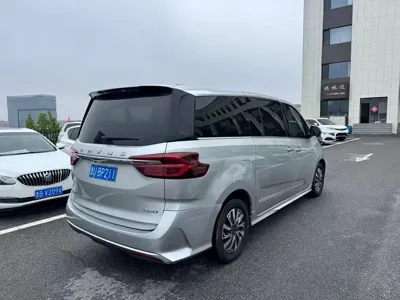 大通 G20