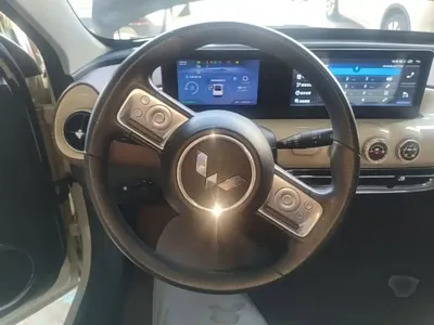 Wuling Bingo