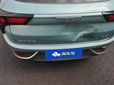NETA Neta V