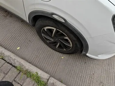 NETA Neta V