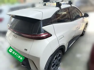 BYD Seagull