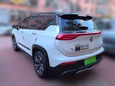 Baojun RS-5