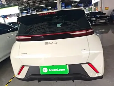 BYD Seagull