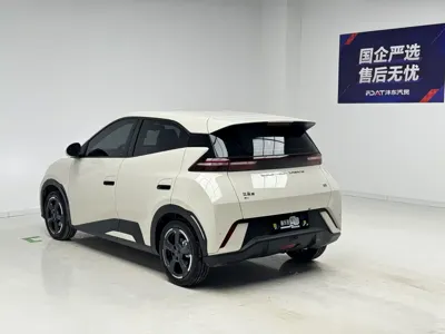 BYD Seagull