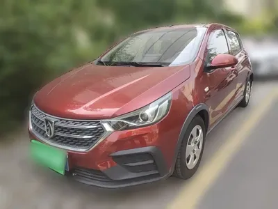 Baojun 310