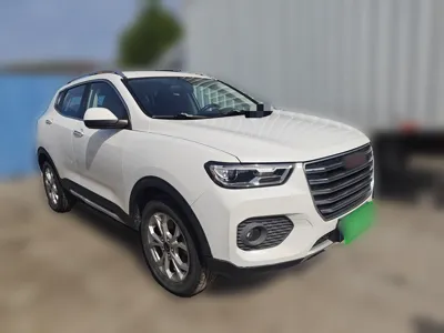 Haval H2s