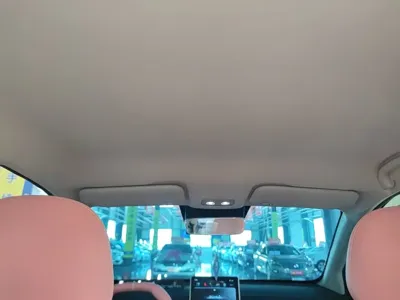 NETA Neta V