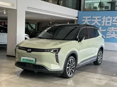 WM Motor W6