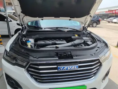 Haval H4