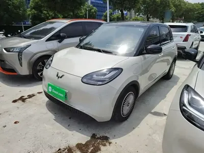 Wuling Bingo