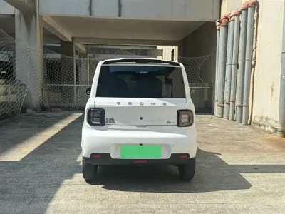 Galaxy Panda