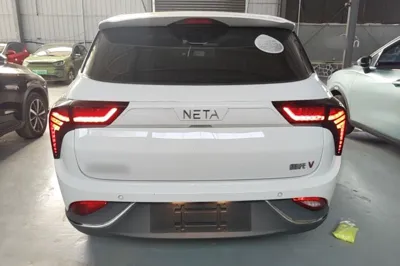 NETA V