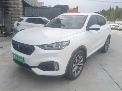 WEY Wey VV6