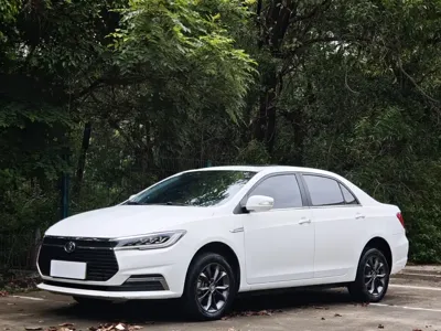 BYD Qin NEV