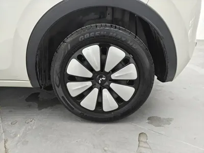 Wuling Bingo