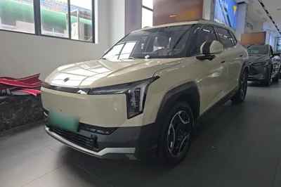 Dongfeng NAMMI 06