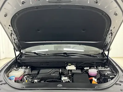 BYD Pro New Energy