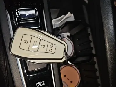 Geely Binrui