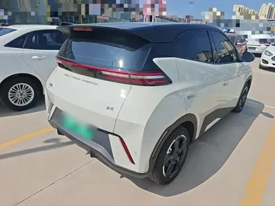 BYD Seagull