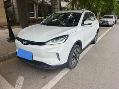 WM Motor EX5