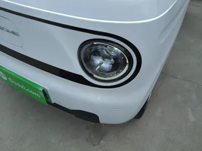 Geely Galaxy Panda