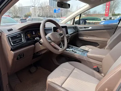 Volkswagen Viloran