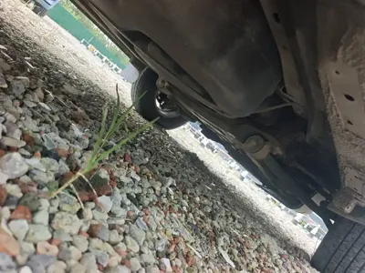 Maxus V80